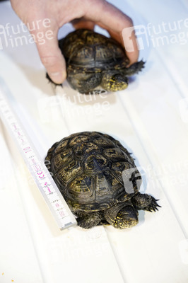 Frühjahrsputz im AquaDom & Sea Life Berlin