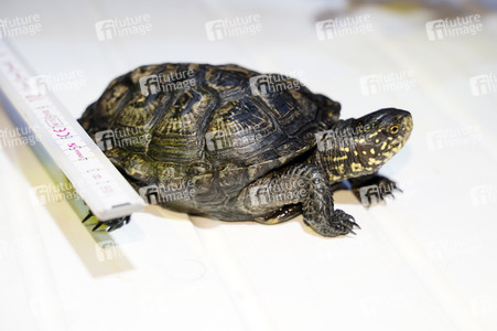 Frühjahrsputz im AquaDom & Sea Life Berlin