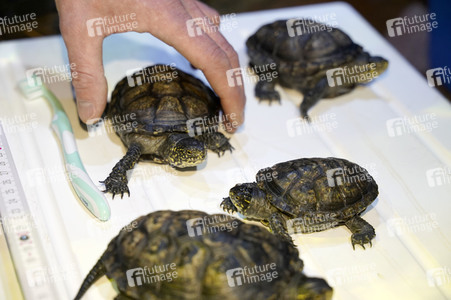 Frühjahrsputz im AquaDom & Sea Life Berlin