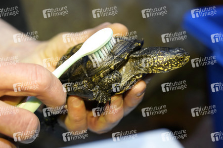 Frühjahrsputz im AquaDom & Sea Life Berlin