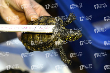Frühjahrsputz im AquaDom & Sea Life Berlin