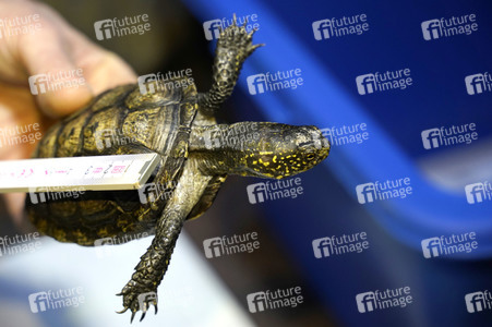 Frühjahrsputz im AquaDom & Sea Life Berlin