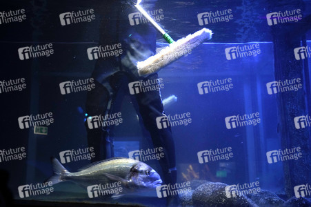 Frühjahrsputz im AquaDom & Sea Life Berlin