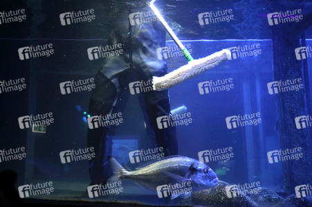 Frühjahrsputz im AquaDom & Sea Life Berlin