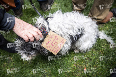 Anti-Brexit-Demonstration in London