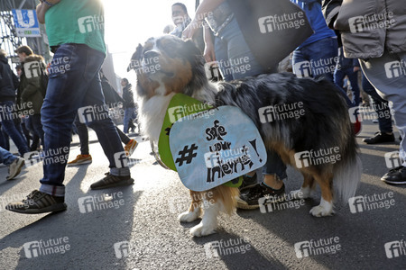 Demonstration gegen Urheberrechtsreform der EU in Berlin