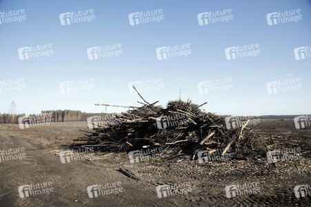 Waldbrandflächen bei Treuenbrietzen