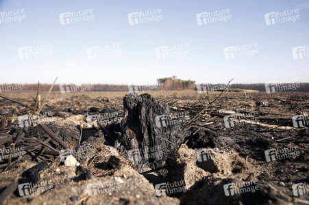 Waldbrandflächen bei Treuenbrietzen
