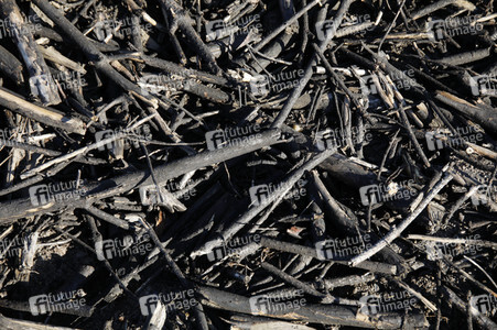 Waldbrandflächen bei Treuenbrietzen