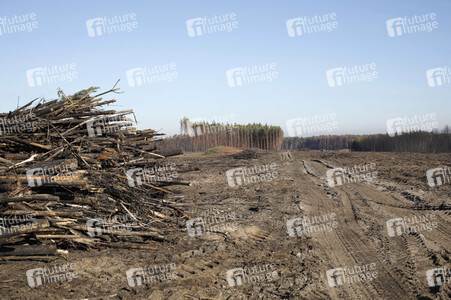Waldbrandflächen bei Treuenbrietzen