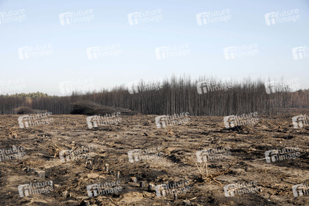 Waldbrandflächen bei Treuenbrietzen