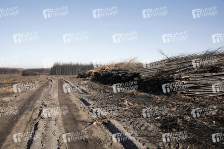 Waldbrandflächen bei Treuenbrietzen