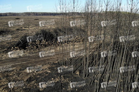 Waldbrandflächen bei Treuenbrietzen