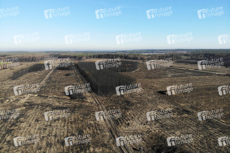 Waldbrandflächen bei Treuenbrietzen