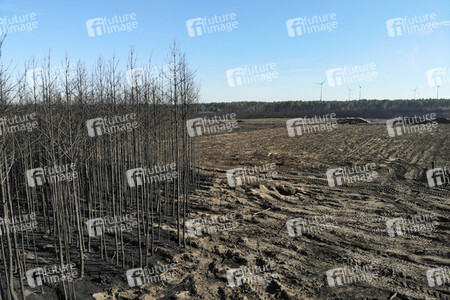 Waldbrandflächen bei Treuenbrietzen