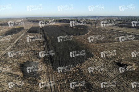 Waldbrandflächen bei Treuenbrietzen
