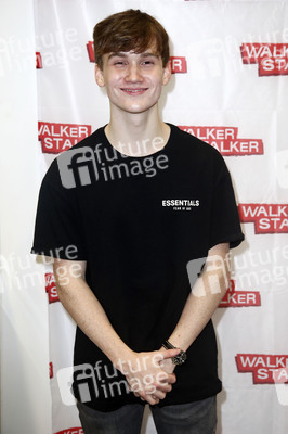 Walker Stalker Con Berlin 2019