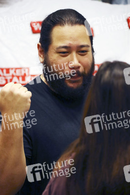 Walker Stalker Con Berlin 2019