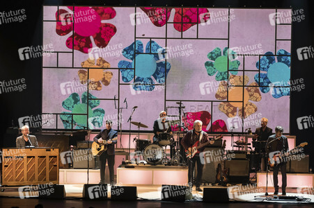 Konzert von The Analogues in Hannover