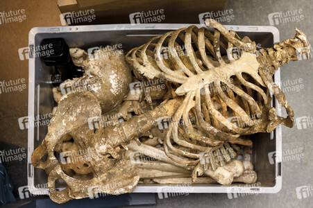 Settermin 'Tatort - Lakritz' in Köln