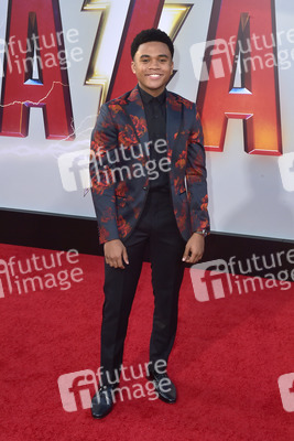 Filmpremiere 'Shazam!' in Los Angeles