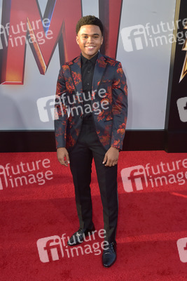 Filmpremiere 'Shazam!' in Los Angeles