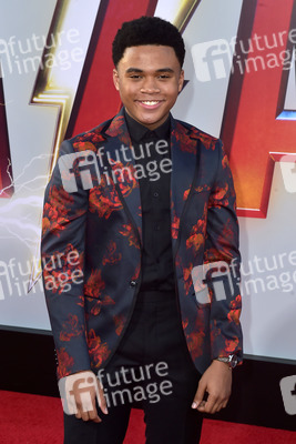 Filmpremiere 'Shazam!' in Los Angeles