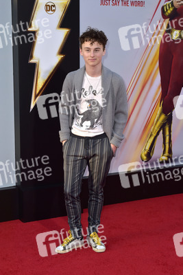 Filmpremiere 'Shazam!' in Los Angeles