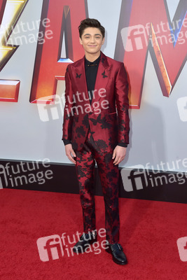 Filmpremiere 'Shazam!' in Los Angeles