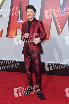 Filmpremiere 'Shazam!' in Los Angeles