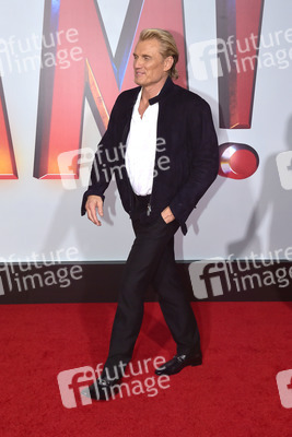 Filmpremiere 'Shazam!' in Los Angeles