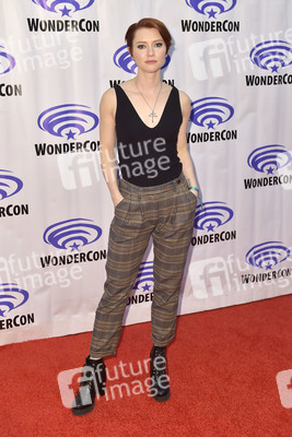 Photocall 'The Tick' auf der WonderCon 2019 in Anaheim