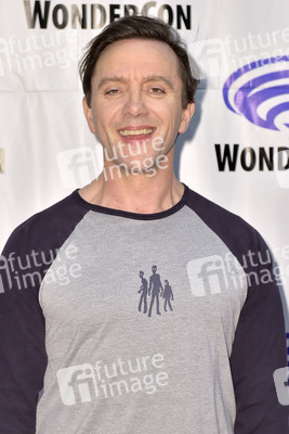 Photocall 'The Tick' auf der WonderCon 2019 in Anaheim