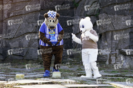 Eisbär-Taufe im Tierpark Berlin