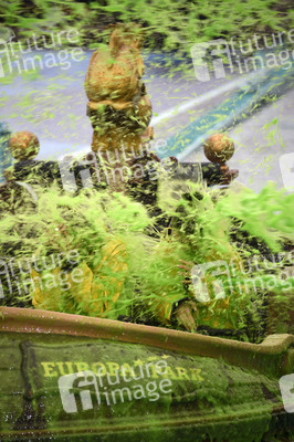 Nickelodeon Kids Choice Awards Deutschland, Österreich und Schweiz 2019 in Rust