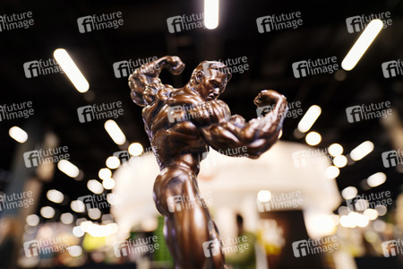 Fibo 2019 in Köln