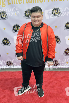 Young Entertainer Awards 2019 in Burbank