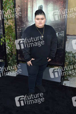 Filmpremiere 'Lloronas Fluch' in Los Angeles