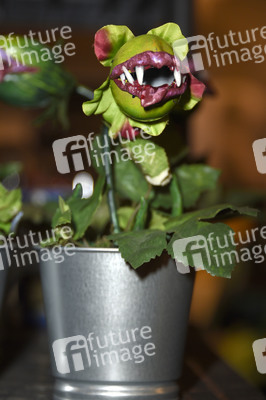 MagicCon 2019 in Bonn