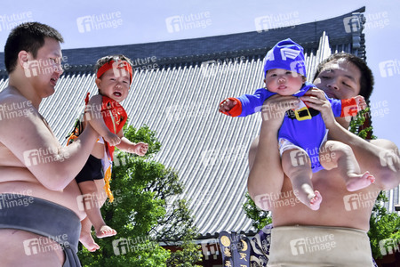 Nakizumo Fest in Tokio