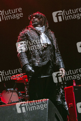 Konzert von Skindred in Hamburg