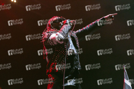 Konzert von Skindred in Hamburg