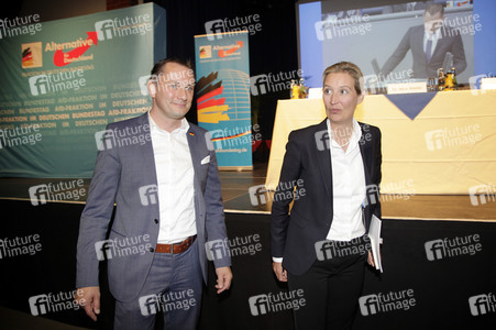 AfD Bundestagsfraktion vor Ort in Görlitz