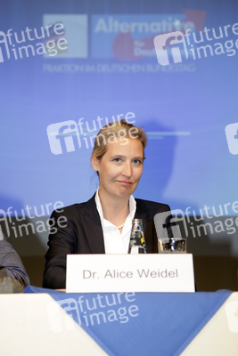 AfD Bundestagsfraktion vor Ort in Görlitz