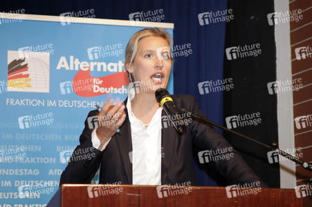 AfD Bundestagsfraktion vor Ort in Görlitz