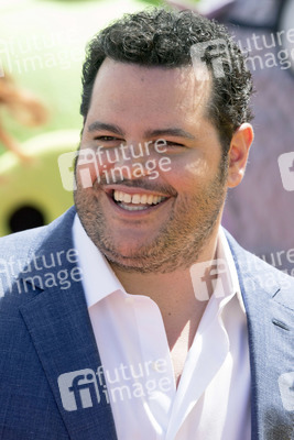Photocall 'Angry Birds 2 - Der Film' in Cannes