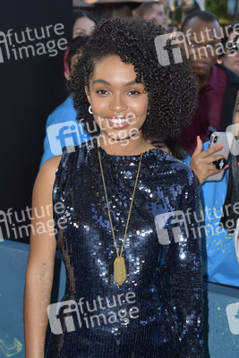 Filmpremiere 'The Sun Is Also a Star' in Los Angeles