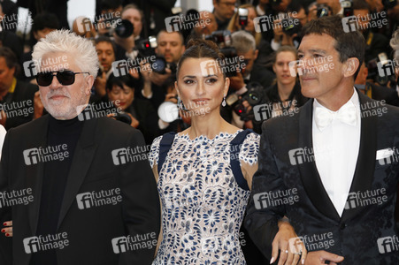 Premiere 'Leid und Herrlichkeit', Cannes Film Festival 2019