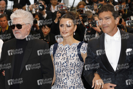Premiere 'Leid und Herrlichkeit', Cannes Film Festival 2019