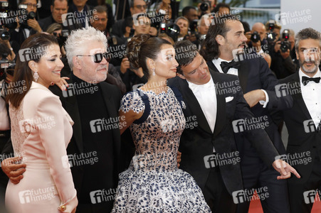 Premiere 'Leid und Herrlichkeit', Cannes Film Festival 2019